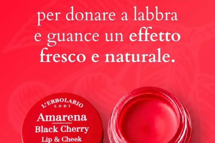 Erboristeria L’Elicriso