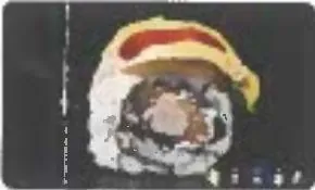 Uramaki Dragon New York (8pz)